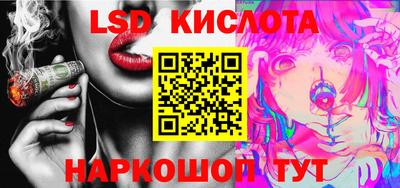 прущие грибы Будённовск