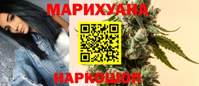 прущие грибы Будённовск