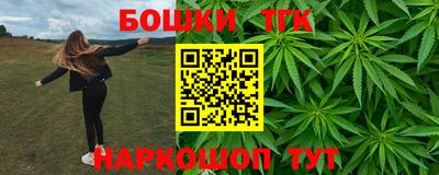 прущие грибы Будённовск