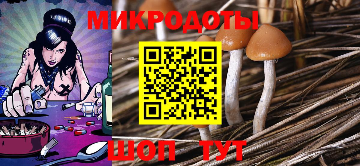 Псилоцибиновые грибы мицелий Нарткала