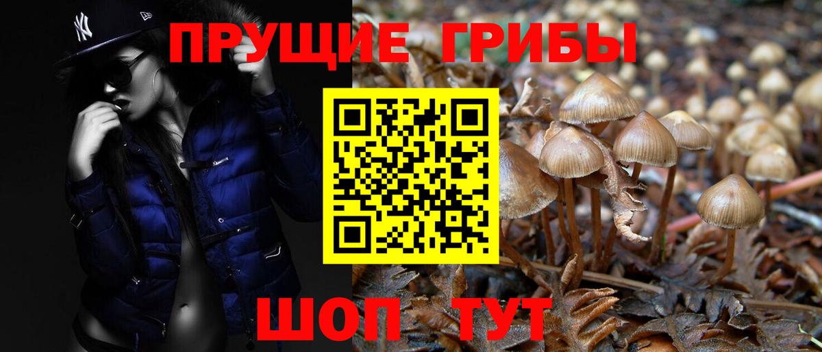 Псилоцибиновые грибы MAGIC MUSHROOMS  Вход с VPN  Нарткала 